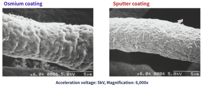 Rat heart vascular casts comparison