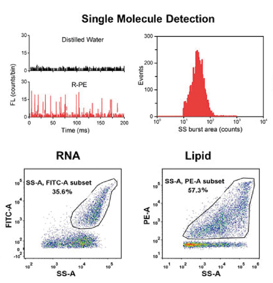 NanoFCMフローナノアナライザーによるベシクルと内在性RNAの解析