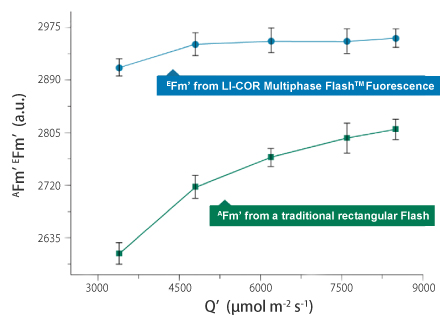 LI-6800 クロロフィル蛍光測定値の比較