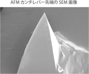 AFMカンチレバーのオスミウムコートの電子顕微鏡観察