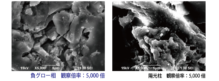 オスミウムコーター（NEOC）の負グロー層と陽光柱の比較