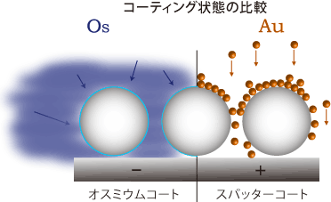 オスミウムコーター（NEOC）のコーティング状態比較
