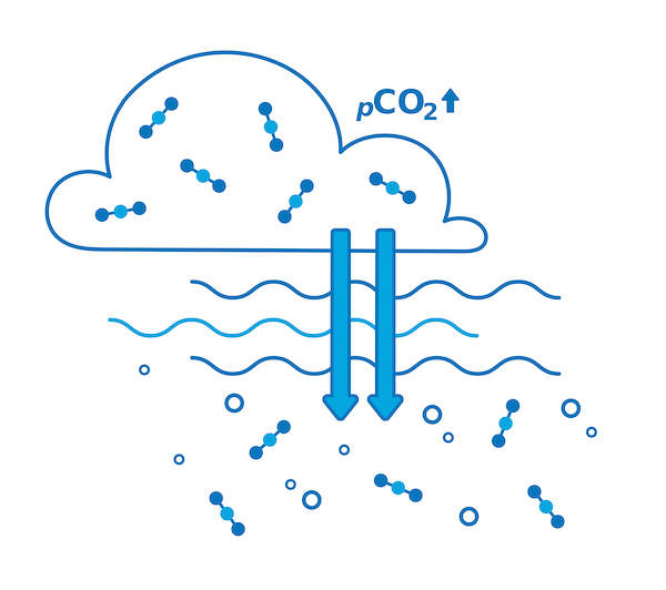 二酸化炭素分圧（pCO2）測定の必要性