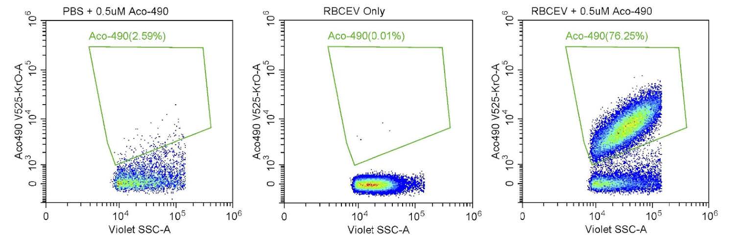 Acoerela-RBCEV-Application_