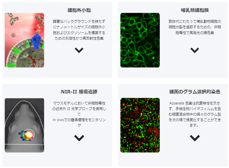 ACOERELA色素の使用事例として、細胞外小胞、哺乳類細胞、NIR-Ⅱ、グラム染色の画像