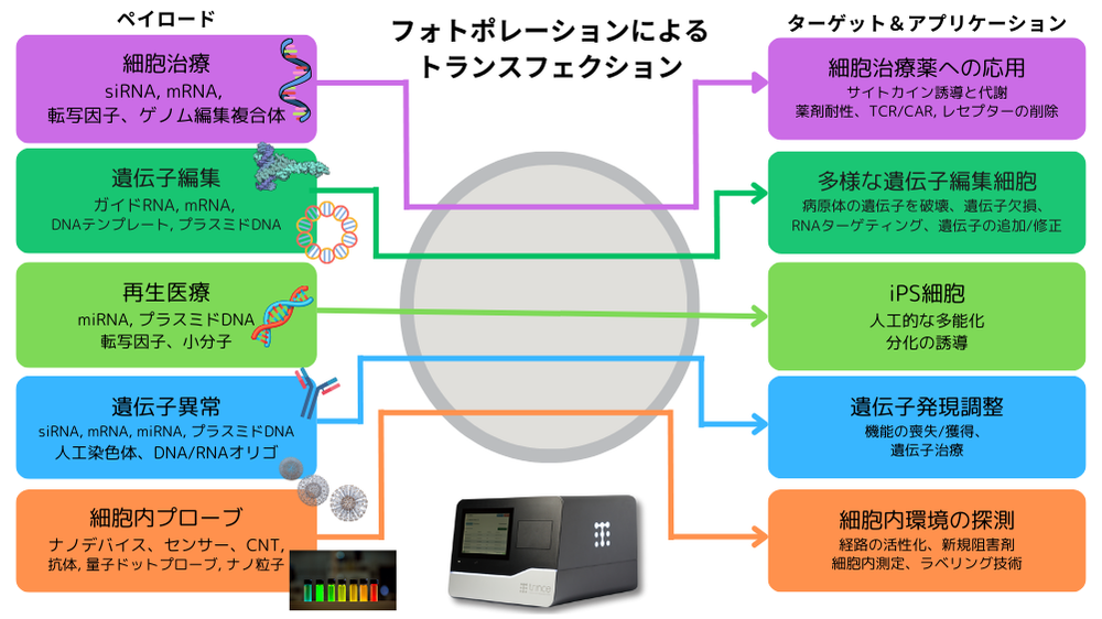 フォトポレーションによるトランスフェクショ（Lumipore））