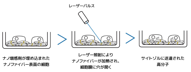 埋め込み式ナノ増感剤によるトランスフェクション