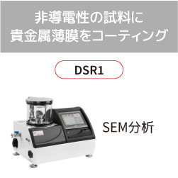 DSR1