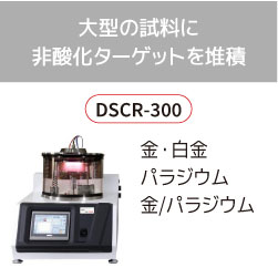 DSCR-300