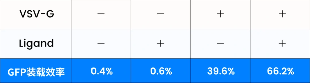 GFP ローディング効率の NanoFCM 分析/NanoFCM(フローナノアナライザー)