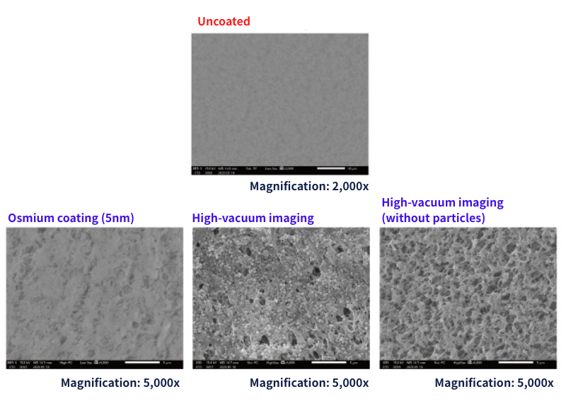 0.22 μm millipore filters