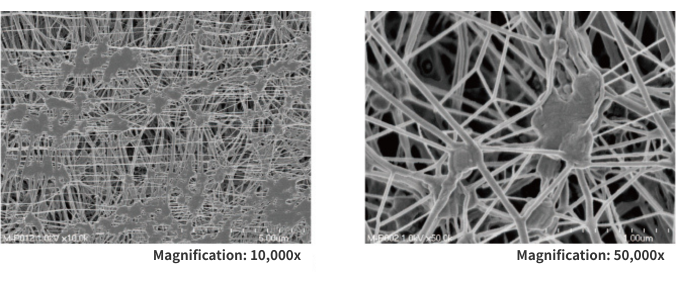 Membrane filters　