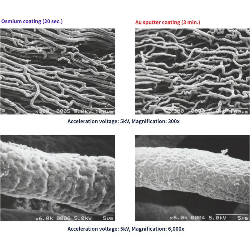 Comparative imaging of rat heart vascular casts