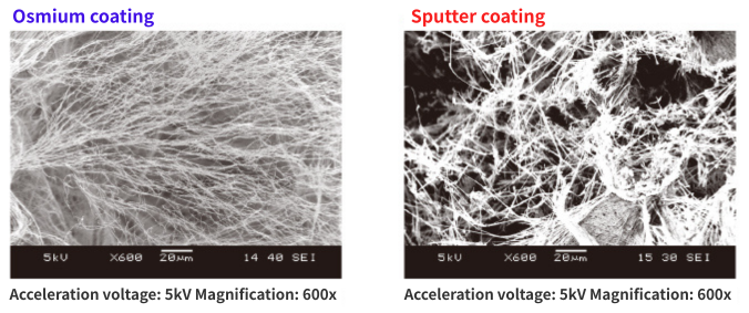 The solid-state structure of freeze-dried amino acid cakes is observed at 600x without any damage to the matrix.