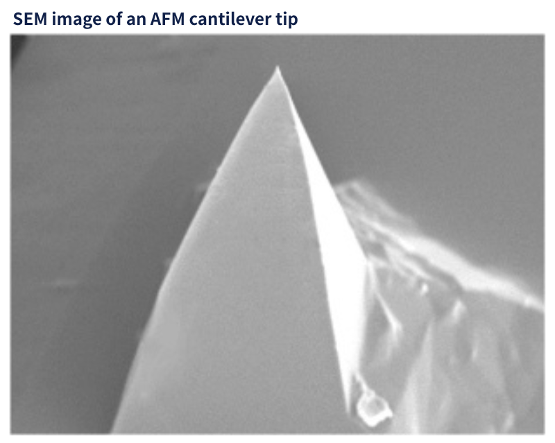 Improving the durability of AFM cantilevers
