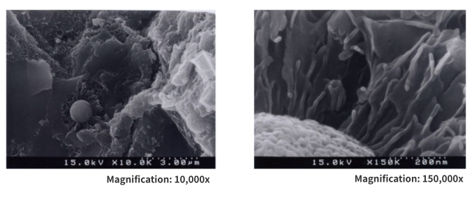 Coal ash