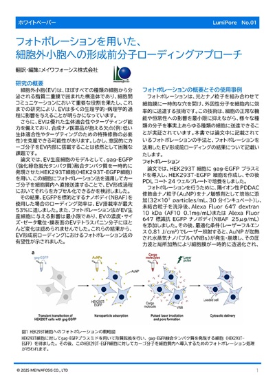 【LumiPore】フォトポレーションを用いた細胞外小胞への形成前分子ローディングアプローチ