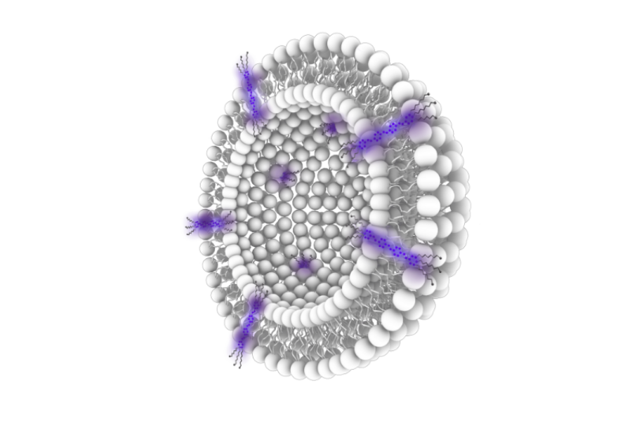 リファレンス リポソーム AcoRL