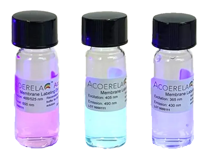 Acoerela 脂質膜蛍光ラベリングキットの画像