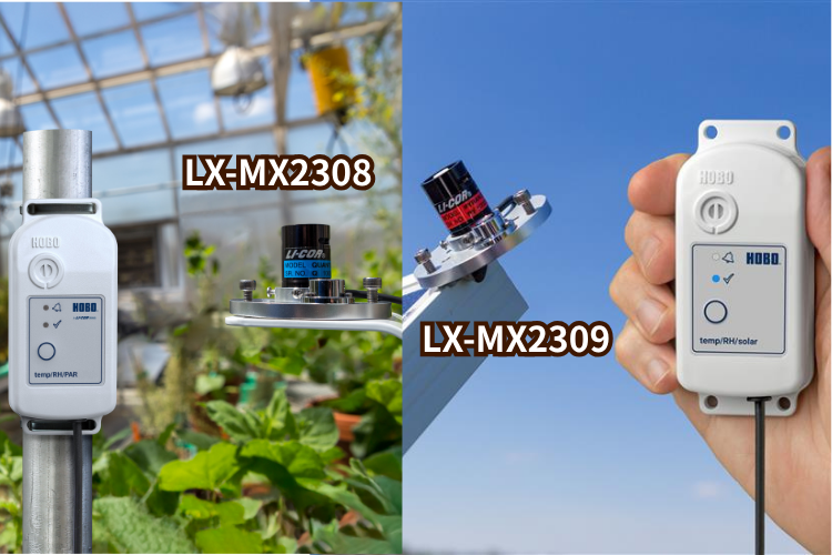 mx