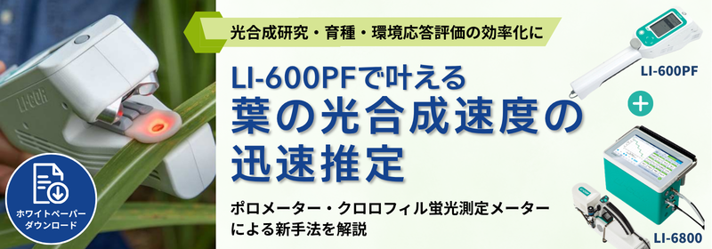 ＼ホワイトペーパー初公開／ LI-600PF ポロメーター・クロロフィル蛍光測定メーターによる 葉の光合成速度の迅速推定