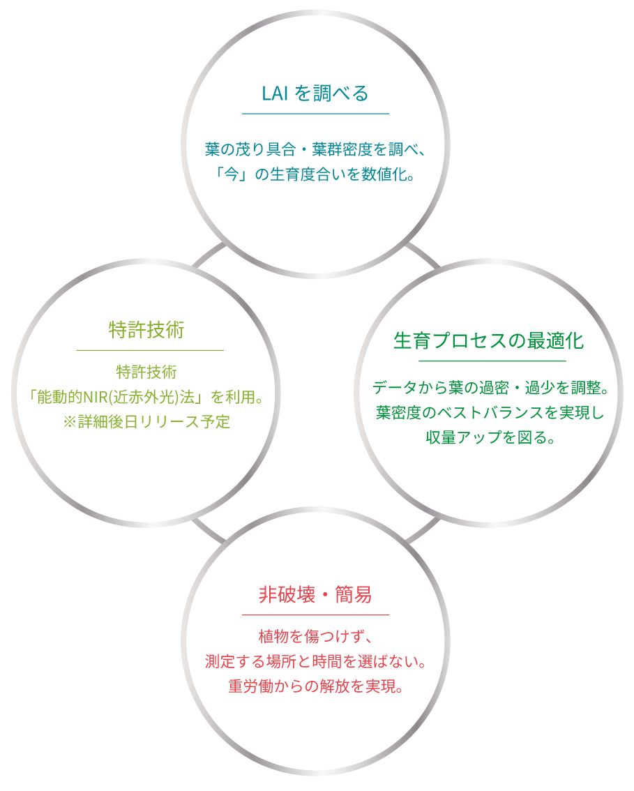 ポータブルLAI計測器
2026年秋 リリース予定