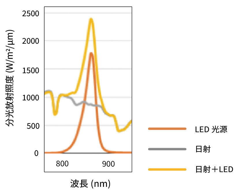 光源の特性
日射とLED光源(850nm)のスペクトル